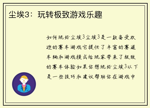 尘埃3：玩转极致游戏乐趣